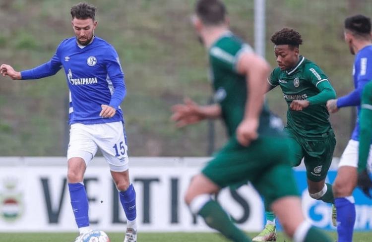 权重明显提 权重明显提