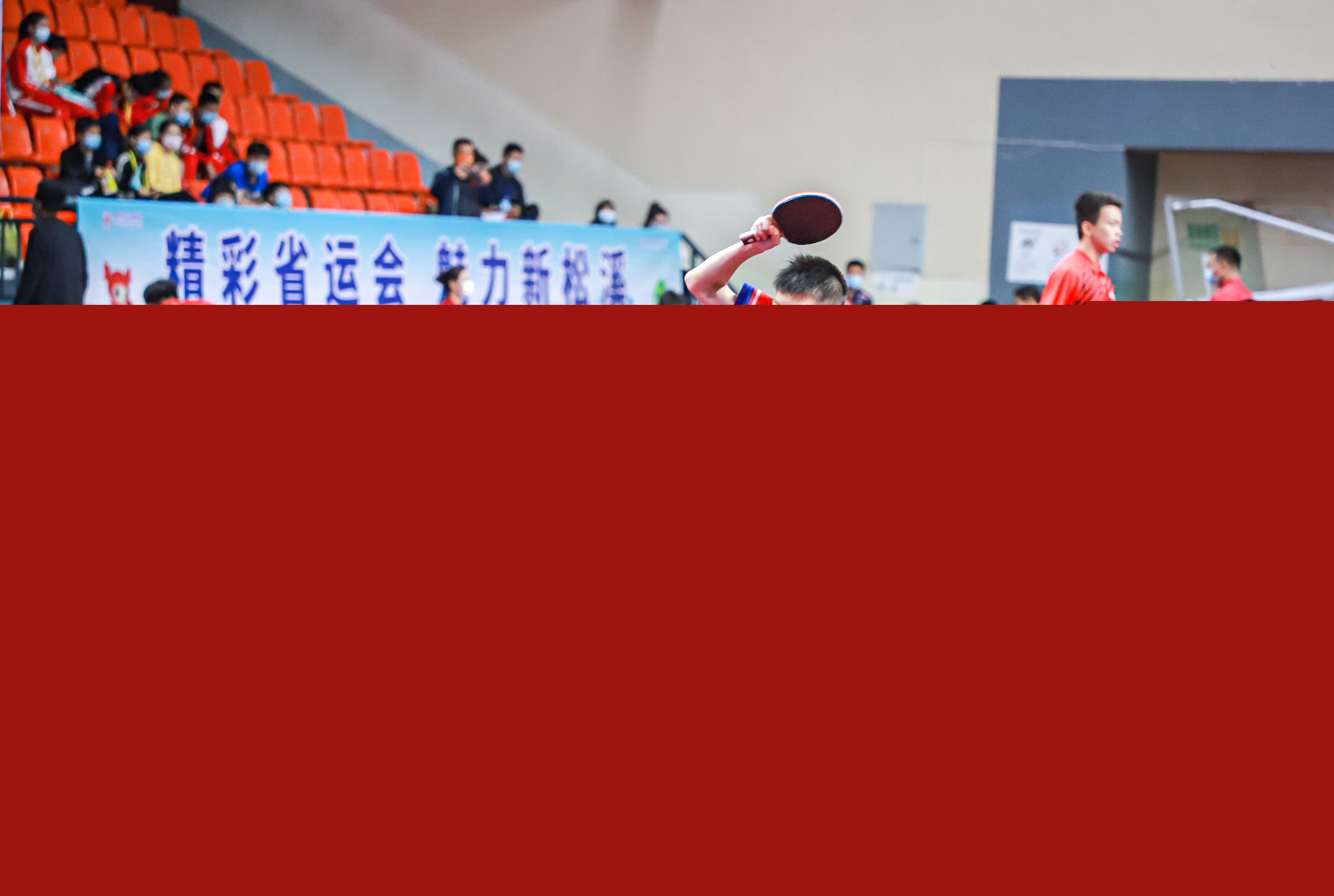 王祉怡总能 王祉怡总能