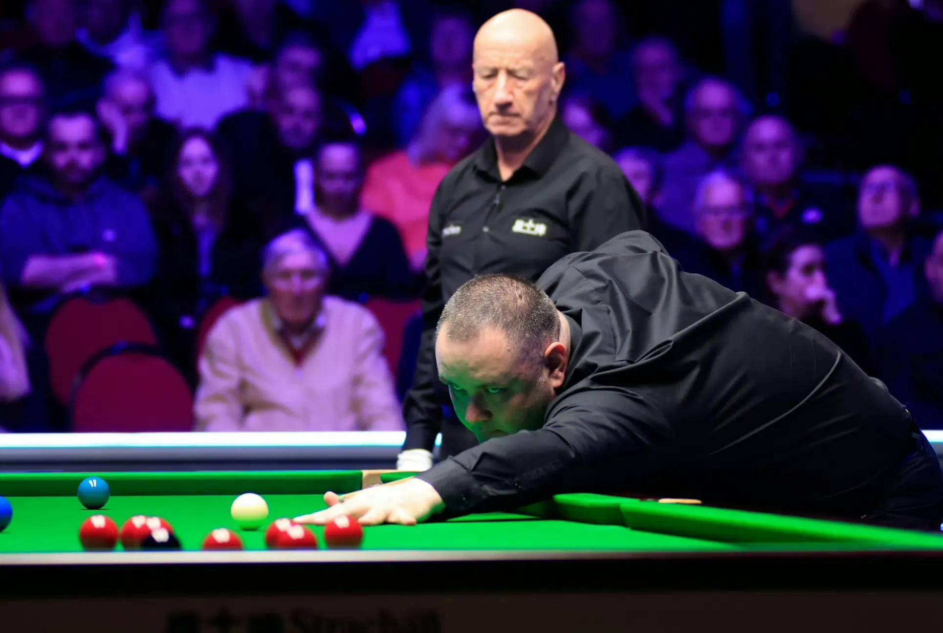 他们也承担 他们也承担