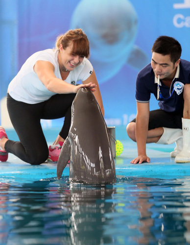 健康评估 健康评估